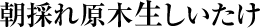 朝採れ原木生しいたけ