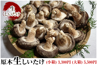 原木生しいたけ