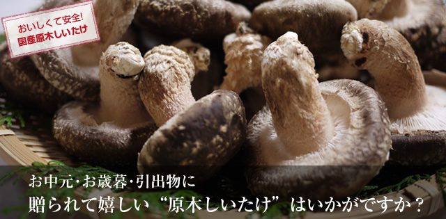 お中元・お歳暮・引出物に、贈られて嬉しい原木しいたけはいかがですか？