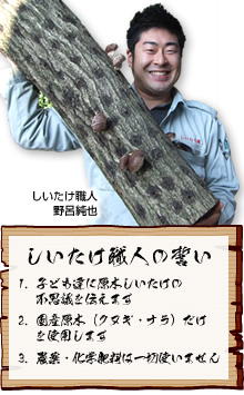 しいたけ職人　野呂純也