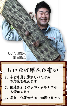 しいたけ職人 野呂純也